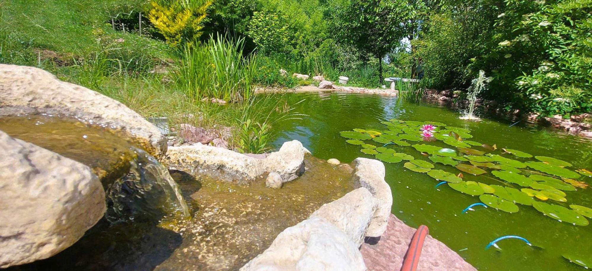 Villa Verteskacsa Vertesacsa Luaran gambar
